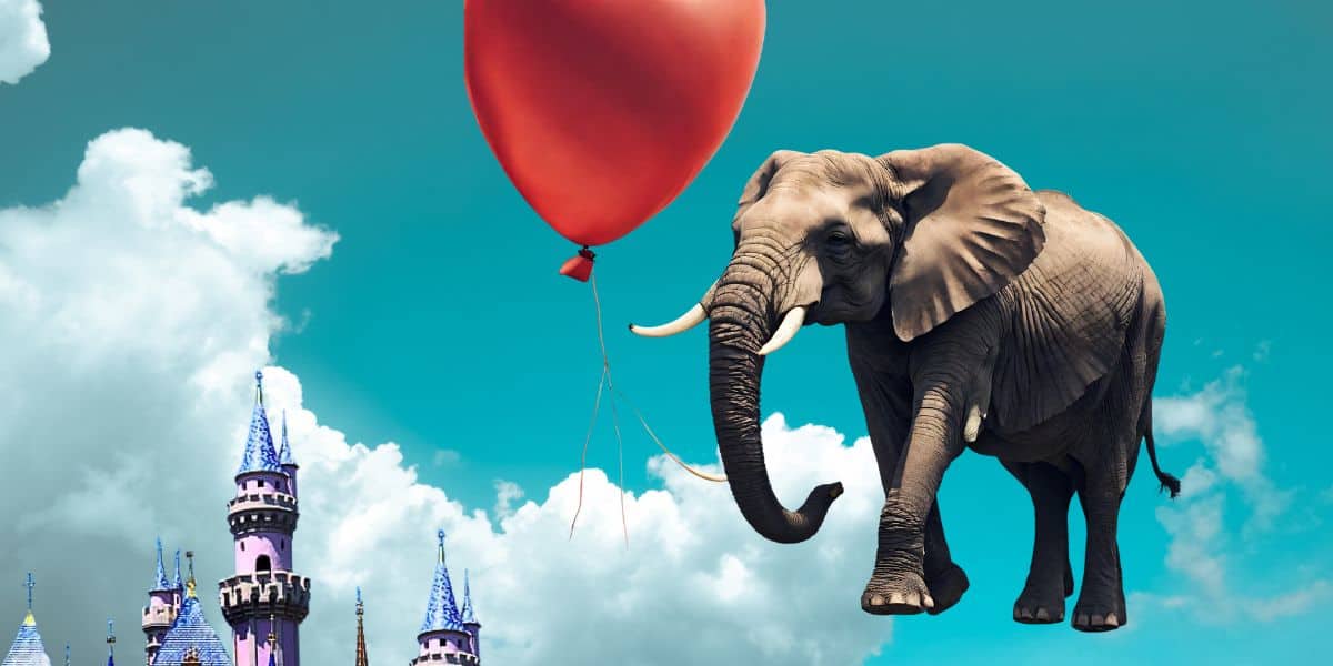 elephant flying