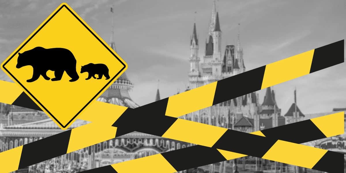 Bear Walt Disney World
