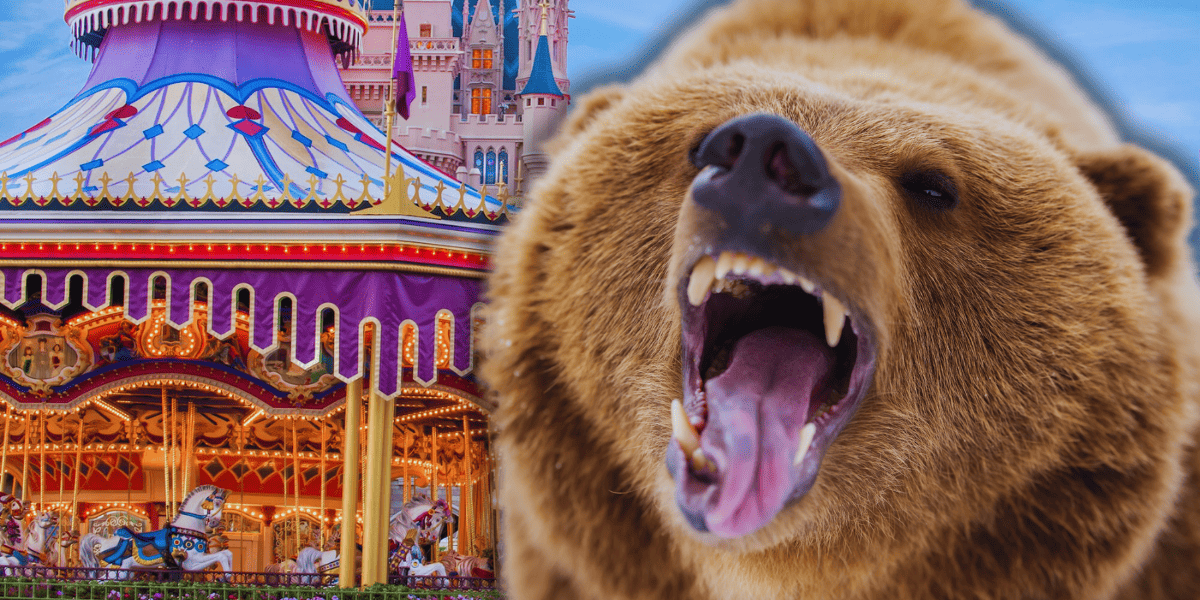 ferocious bear, magic kingdom fantasyland in the background