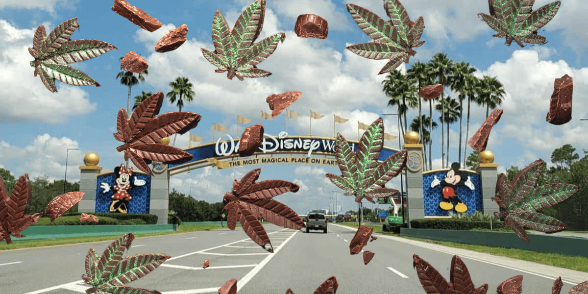 drugs at disney world