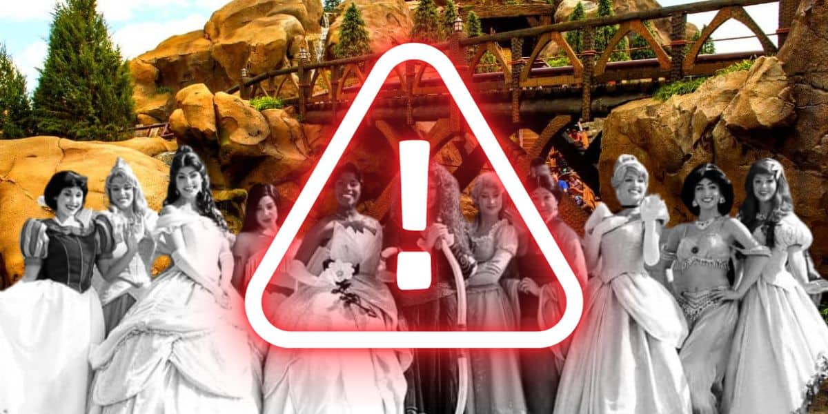 Disney Princess Accident