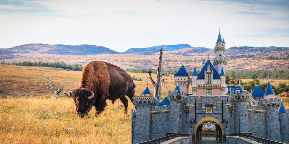 Disneyland Oklahoma