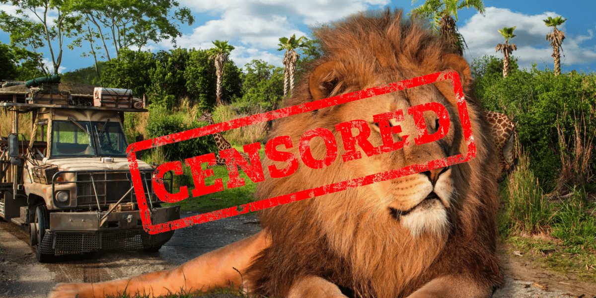 Can You Feel the Love Tonight: Lions at Disney’s Animal Kingdom Put On an X-Rated Show