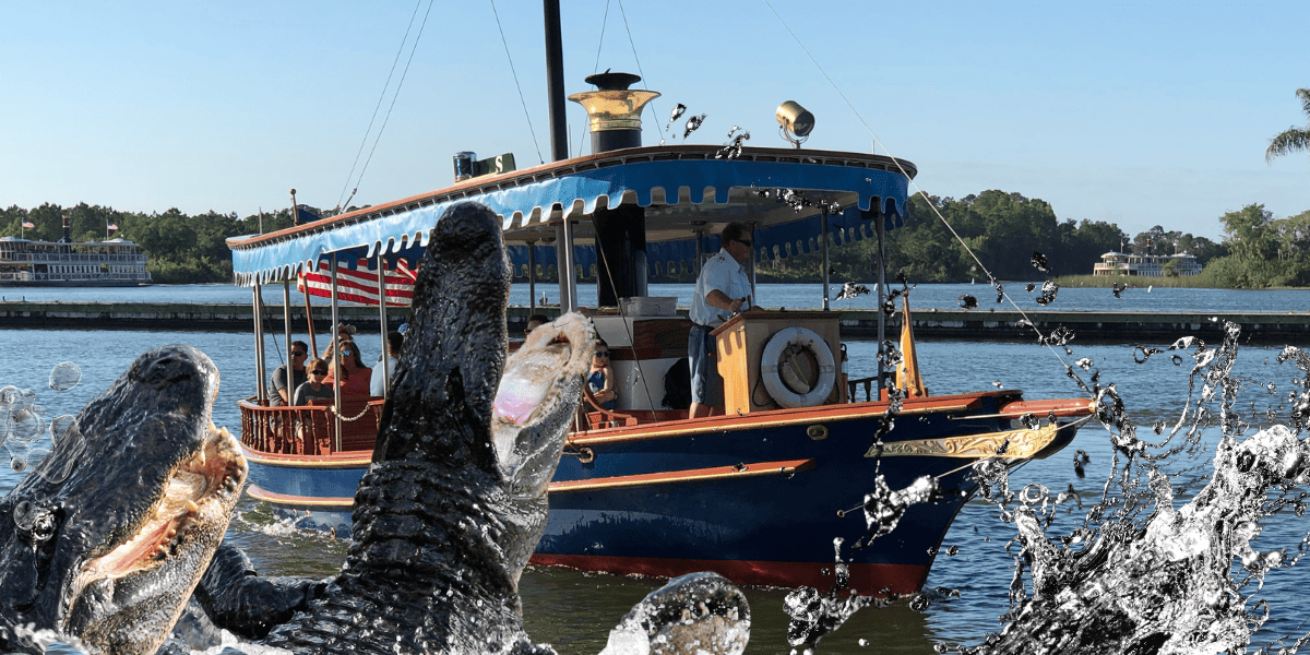 Stay Out of the Water: Another Notable Alligator Sighting at Walt Disney World