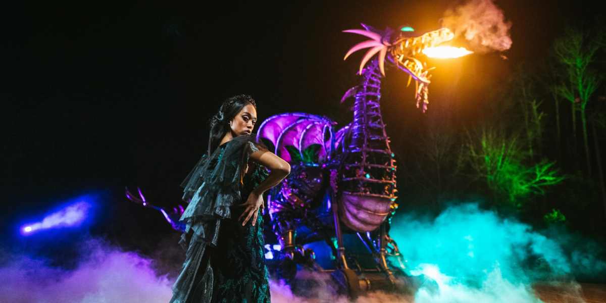 Disney Villains Wedding Dress with Maleficent Dragon