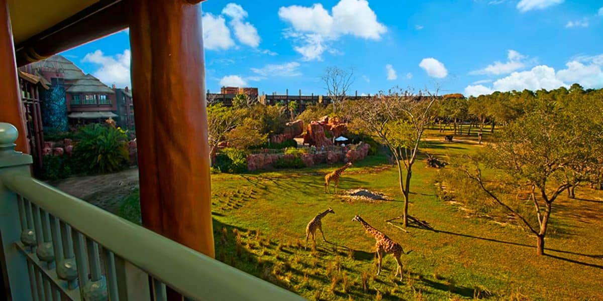 animal kingdom lodge