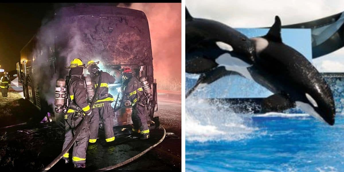SeaWorld fire
