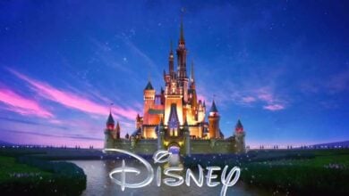 A picture of the Disney castle.