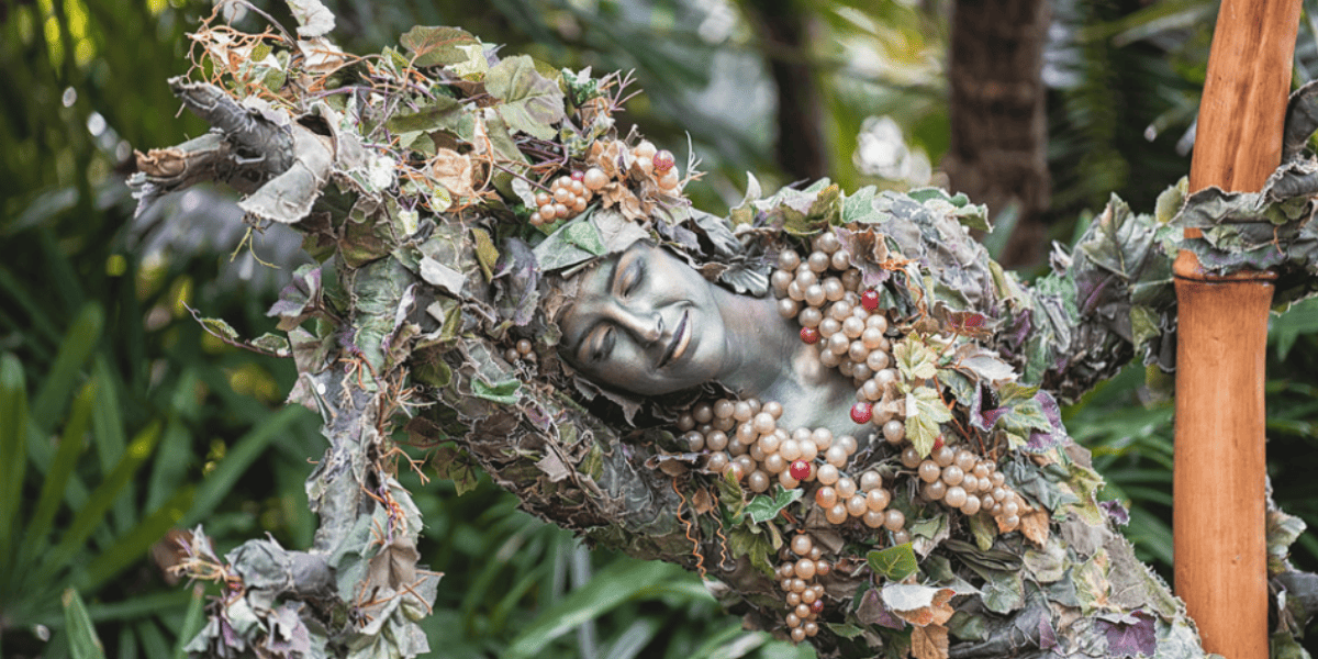 divine disney's animal kingdom