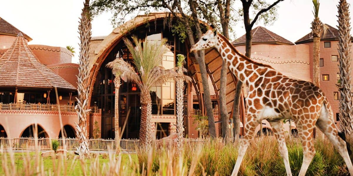 Do Deluxe Dinsey hotels have more magic