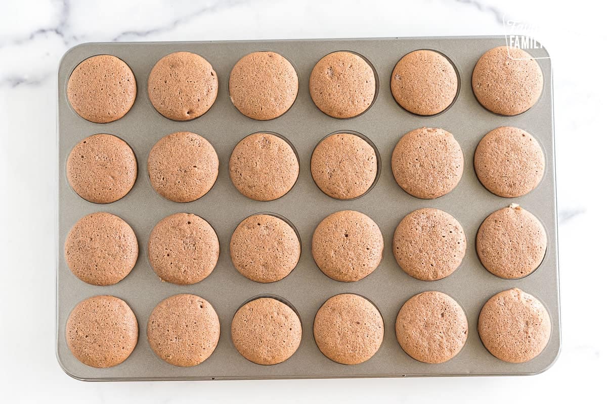 Baked chocolate mini cupcakes in a tin