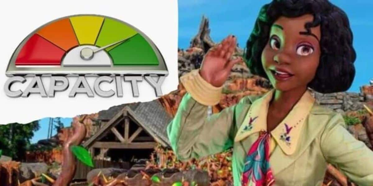 Capacity Tiana Bayou Adventure