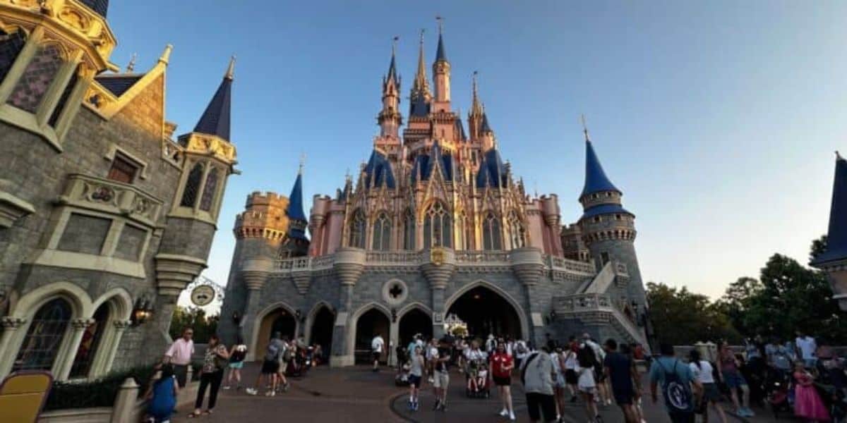 Disney Guest Castle