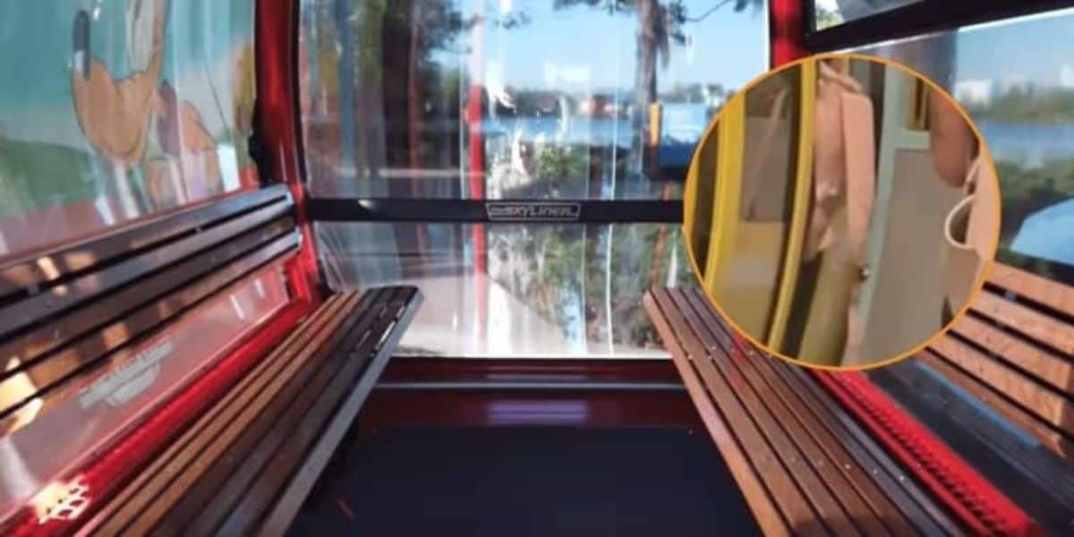 Disney Skyliner