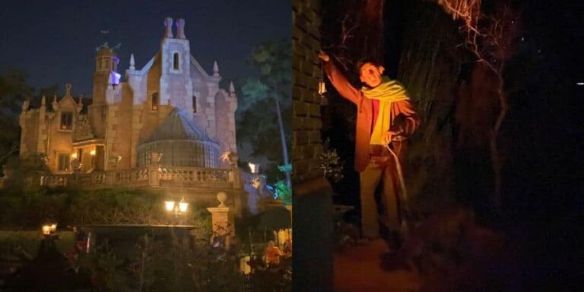 Disney World Artifact