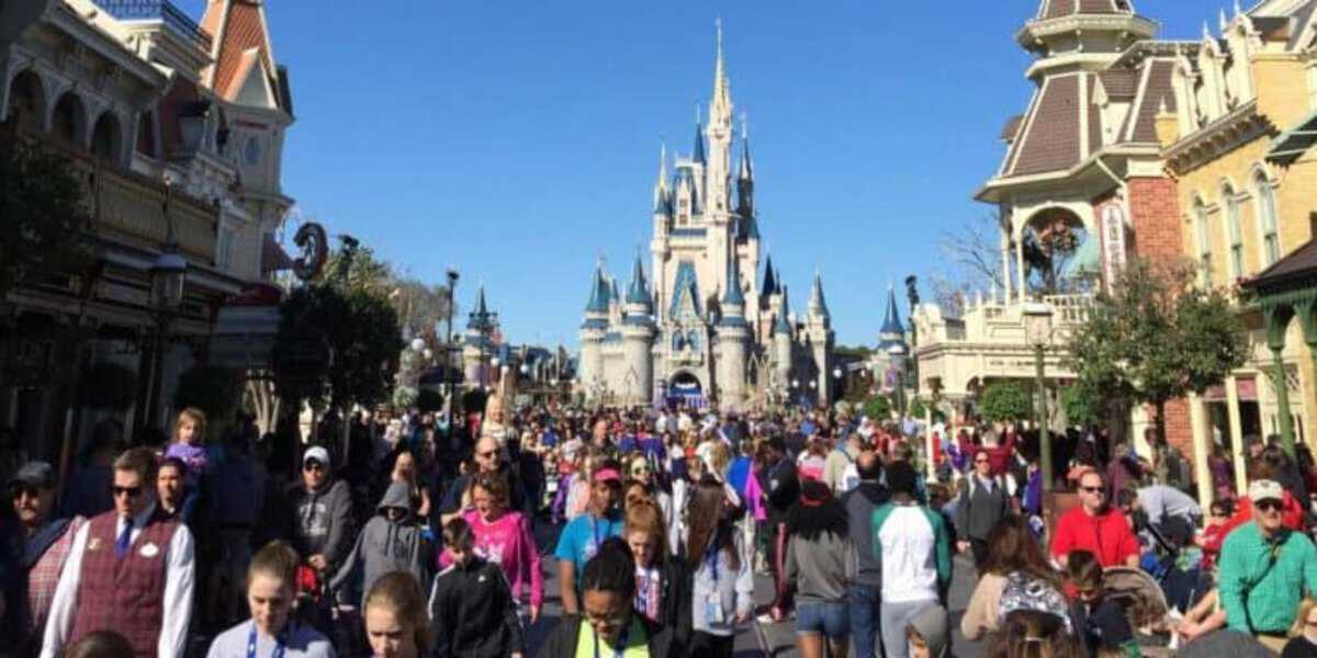 Disney World Guest