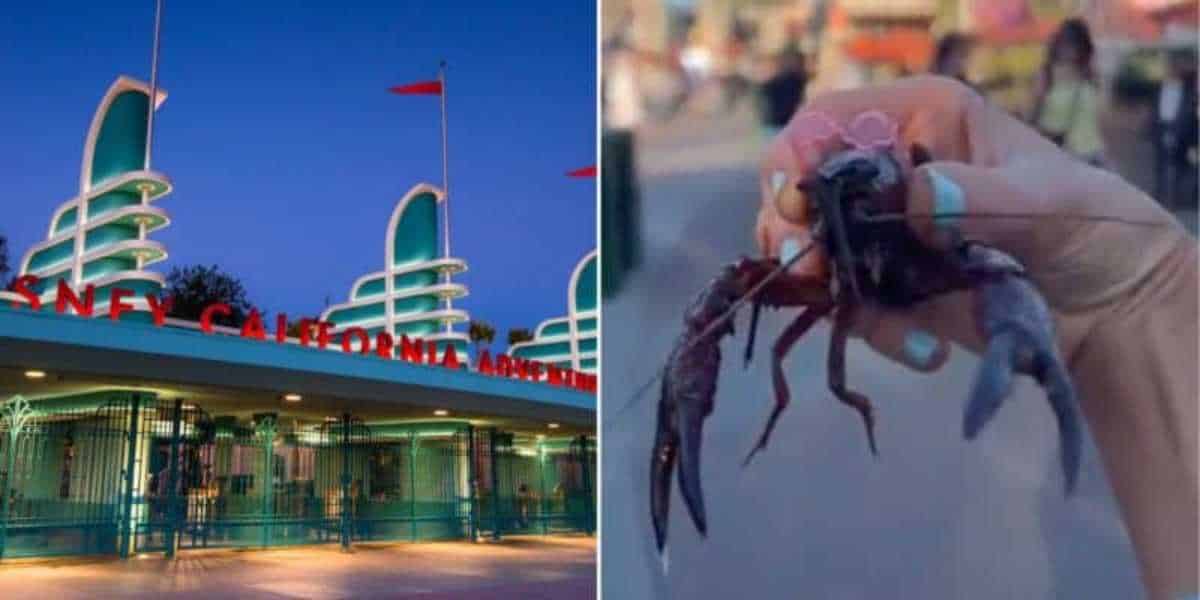 Left: Entrance of Disney California Adventure Park at twilight. Right: A person holding a small, live crab between their fingers at a market.