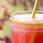 Sparkling Citrus Punch