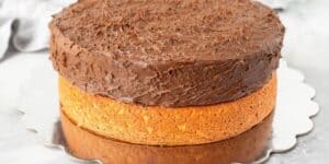 An image of a round, two-layer cake with the bottom layer appearing to be a plain sponge cake and the top layer decorated with thick, textured chocolate frosting. The cake is placed on a metallic scalloped cake board, set against a blurred background.