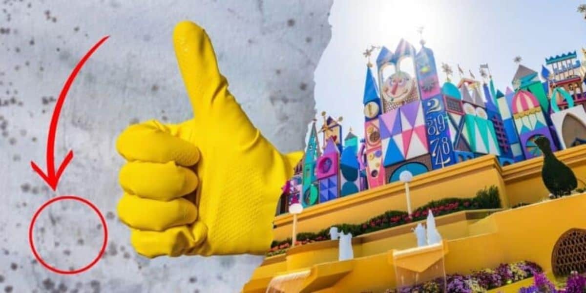Walt Disney Attractions