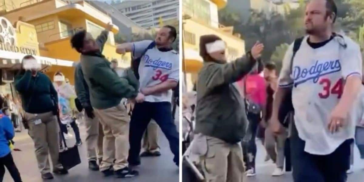 Disney Guest Violence