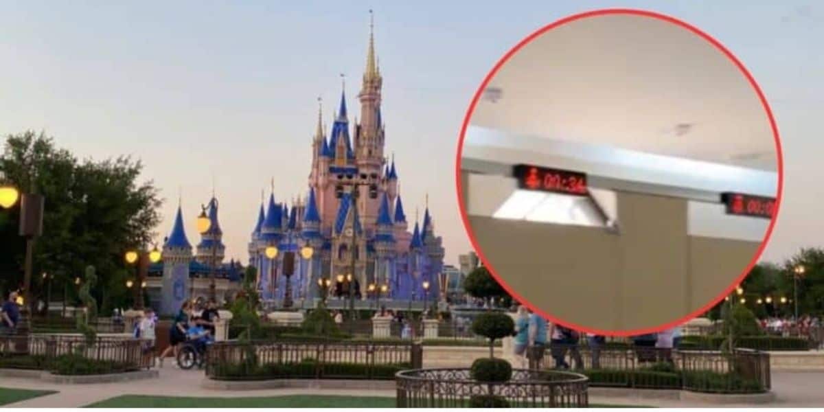 Disney Theme Park