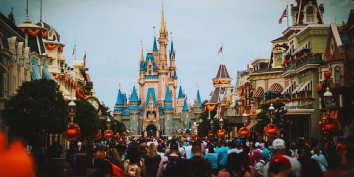 Disney World Guest