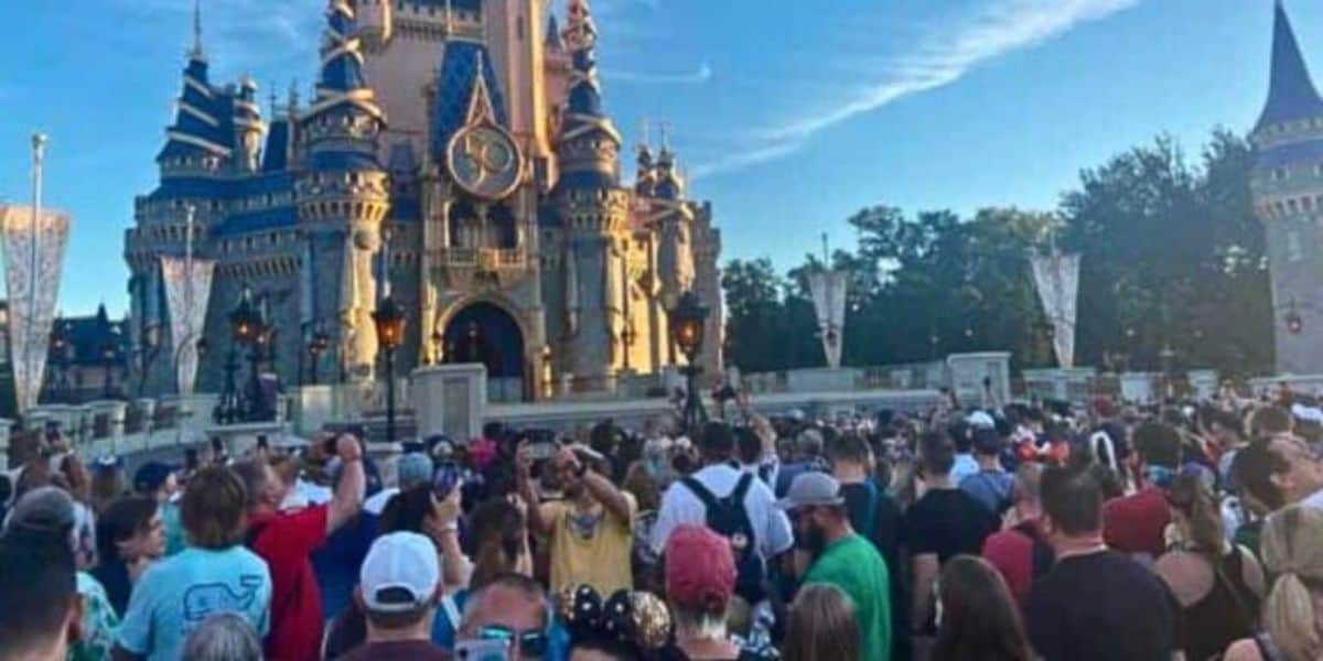 Disney World Guests