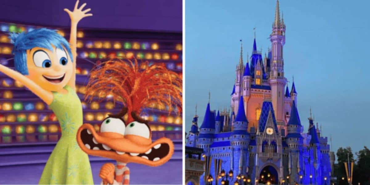 Inside Out Land