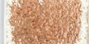 A close-up of a dish featuring cooked white rice topped with a thick, brown, chunky sauce. The sauce appears to be a blend of ground ingredients, spread unevenly across the rice. The meal is presented on a white plate.