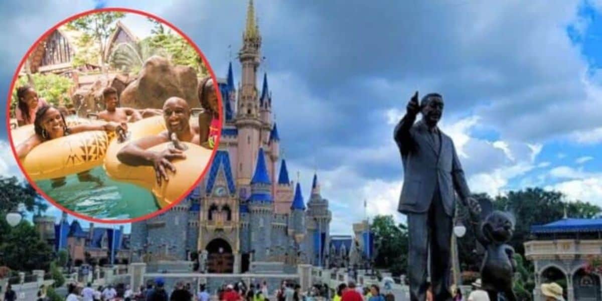 Disney New Policy