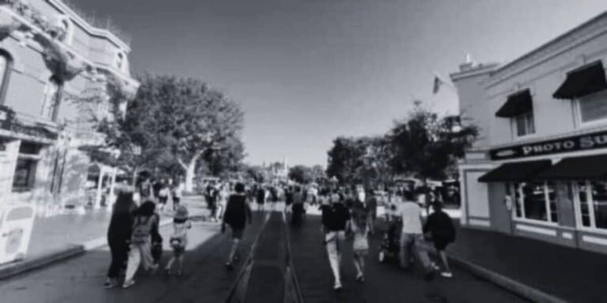 Disney Theme Park