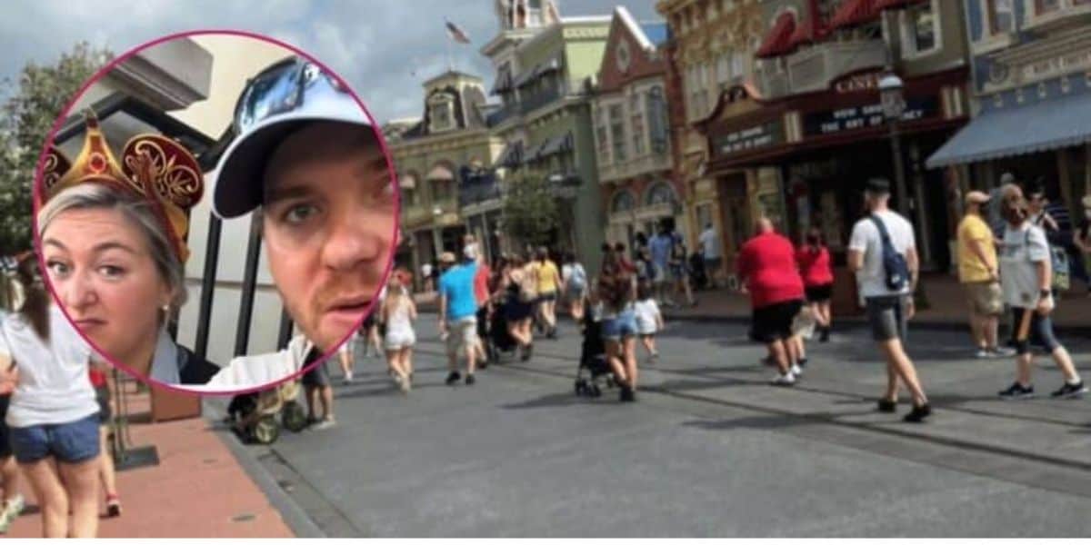 Disney World Guest