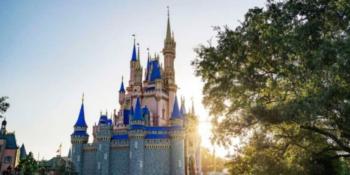 Disney World Incident