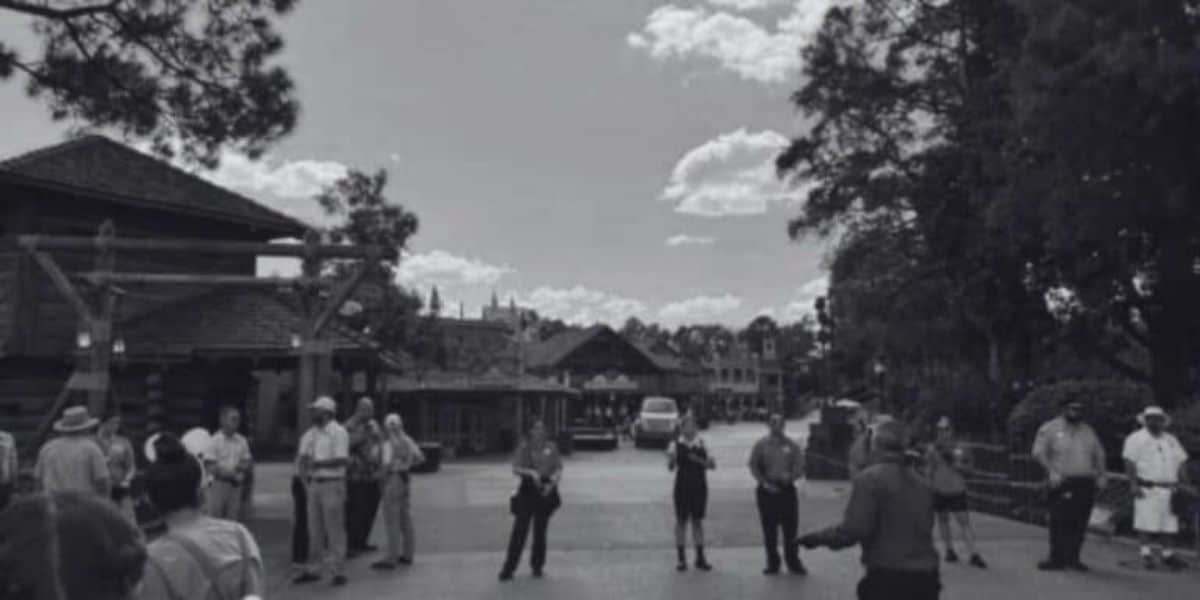 Disney World Performer