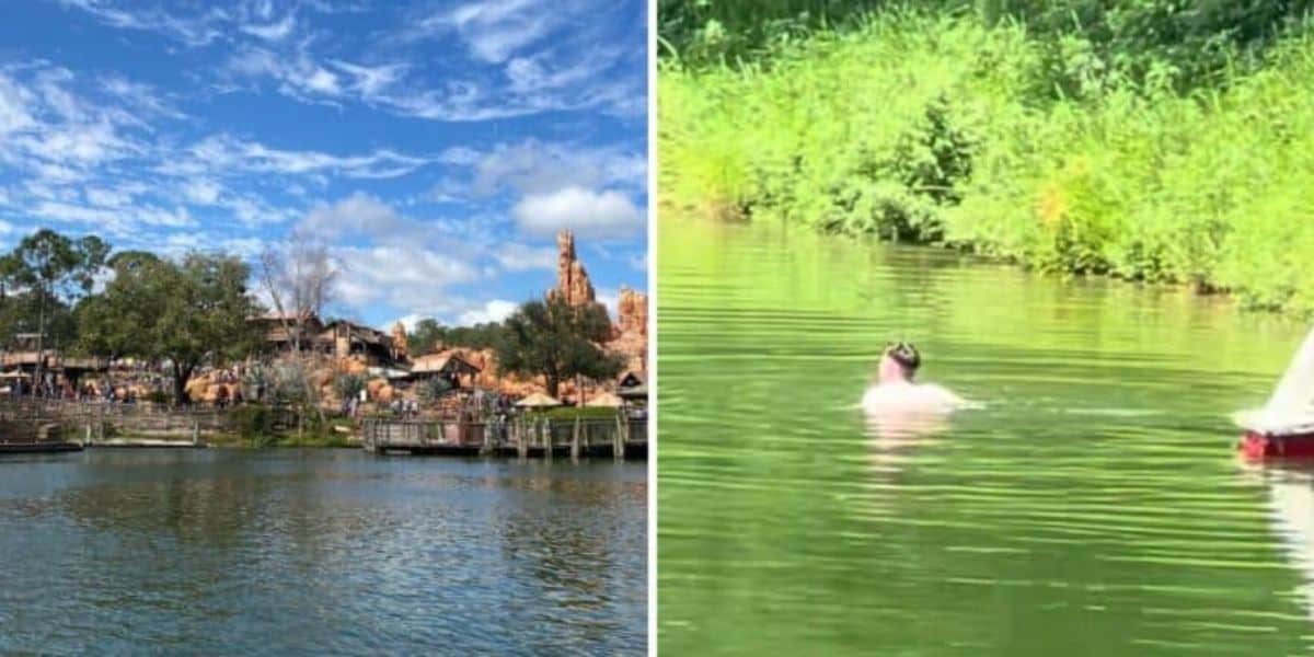 Magic Kingdom River