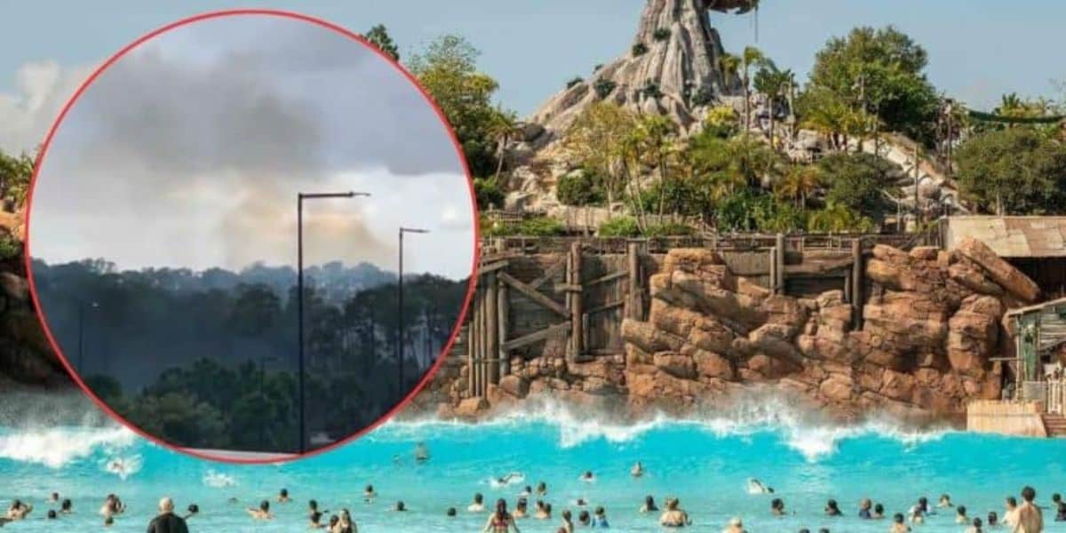 Walt Disney Multiple Fires