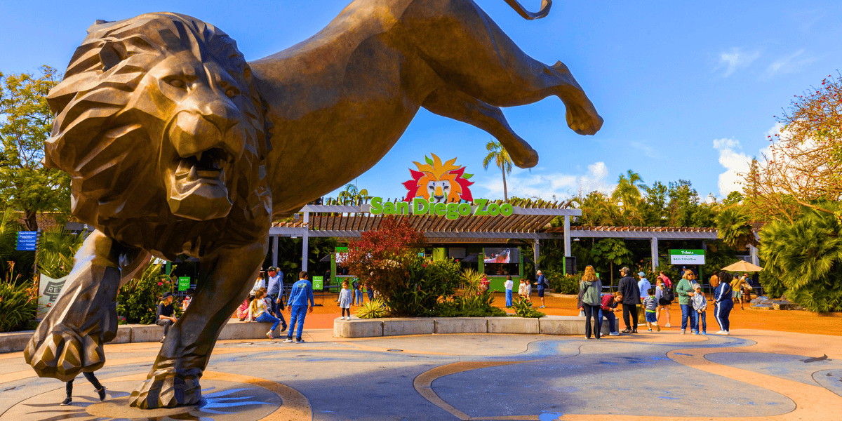 A large, bronze lion statue stands majestically near the entrance of the San Diego Zoo, with visitors walking around and taking photos. The zoo entrance sign, featuring colorful animal silhouettes, is visible in the background. Trees and greenery surround the area.