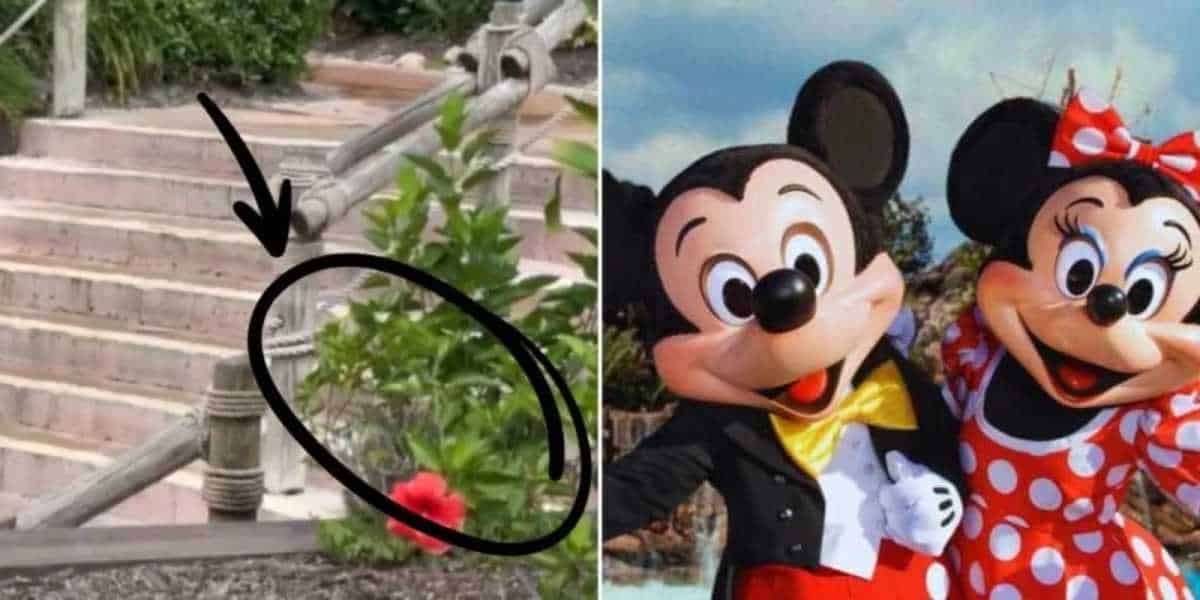 On the left, a red flower is highlighted on a bush beside a set of stairs. On the right, two dressed-up characters are posing for a photo; one character wears a red and white polka-dot dress and bow, and the other character wears a black suit and yellow bow tie.
