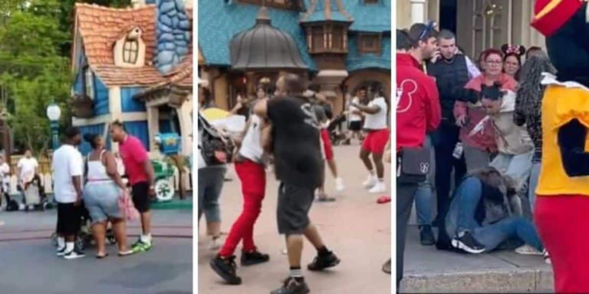 Disney Fault Theme Park