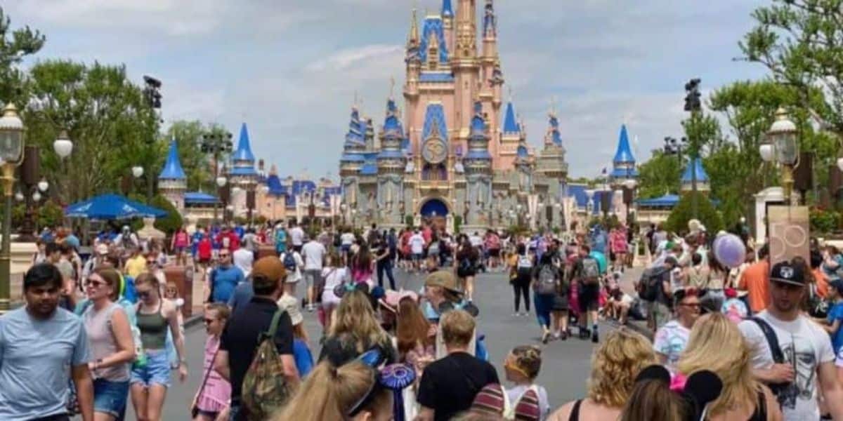 Disney Guests
