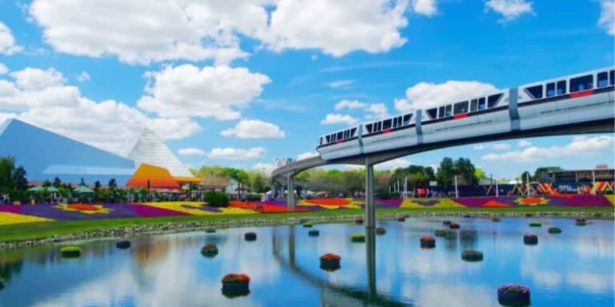 Disney Theme Park