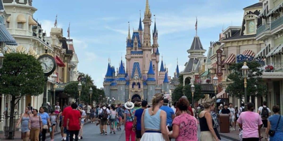 Disney Theme Park