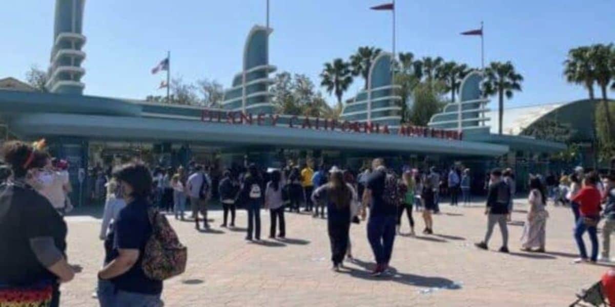 Disney Transportation