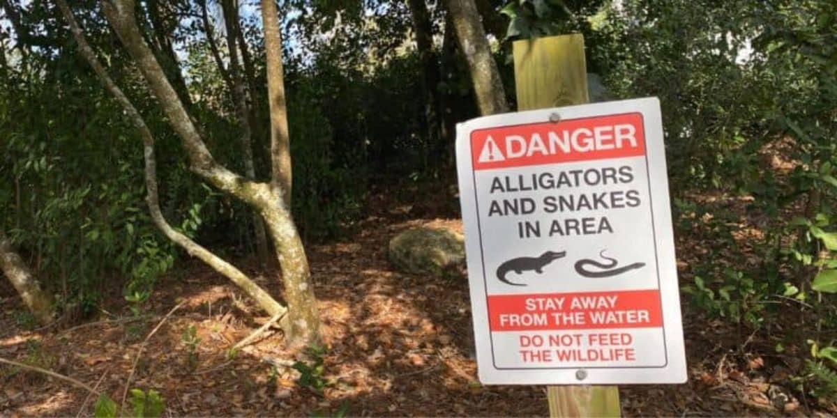 Disney World Florida