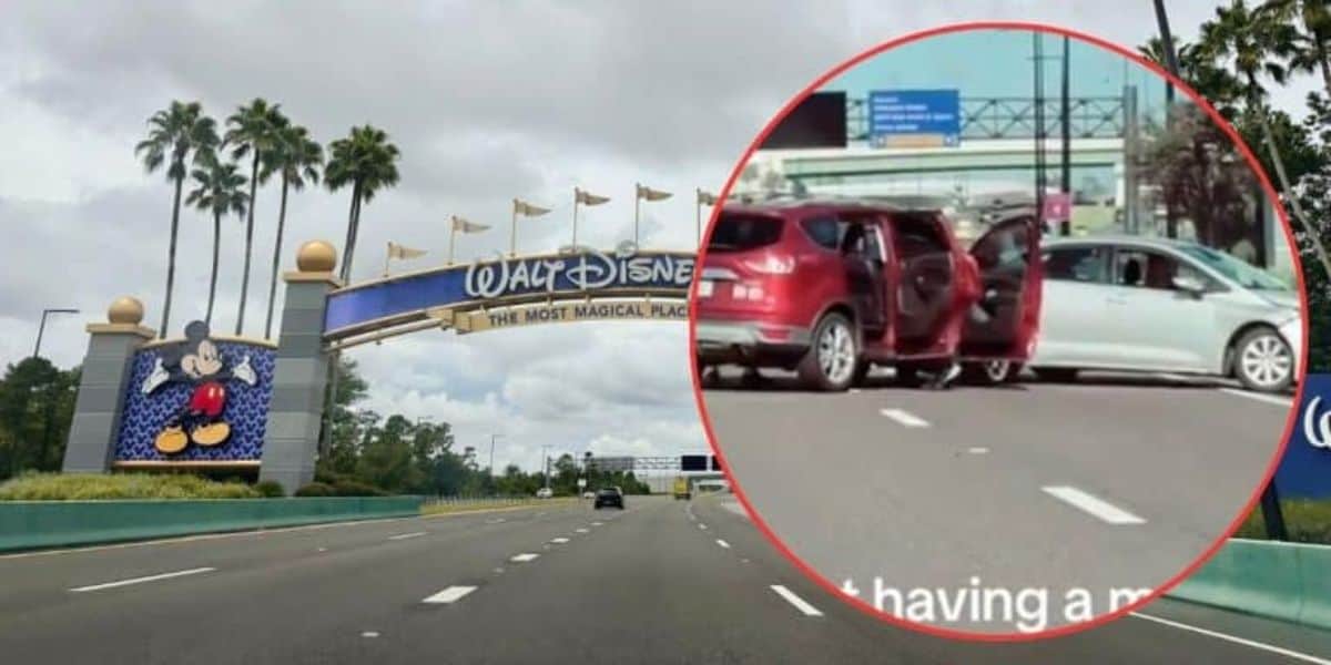 Walt Disney World Crash