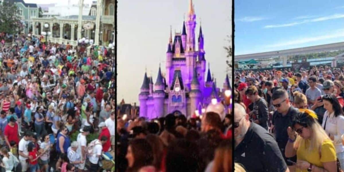 Disney Attractions