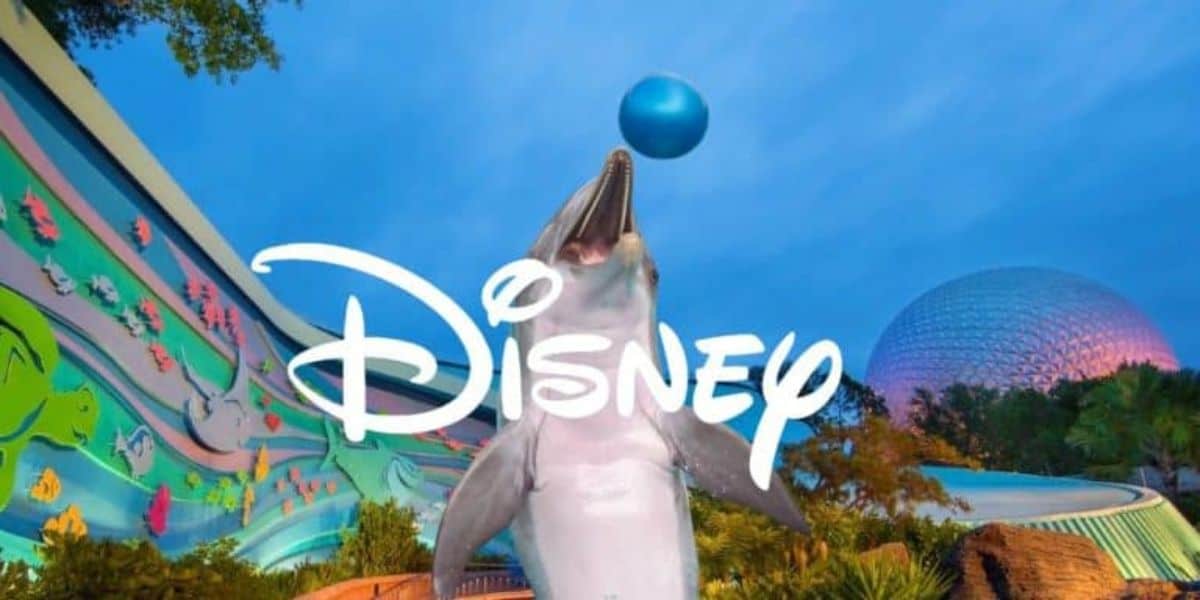 Disney Dolphin