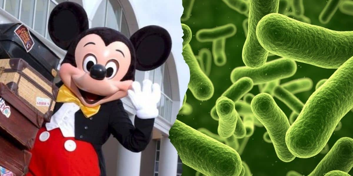 Mickey Mouse beside a stack of luggage on the left at Disney World. On the right is a close-up of green bacteria-like shapes on a microscope-style background.