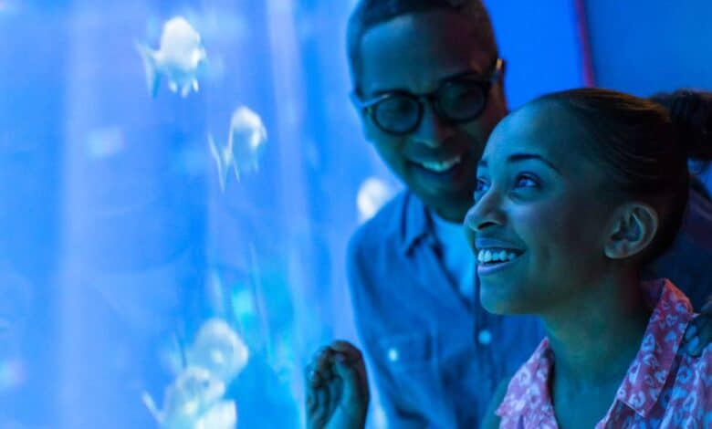 A man and woman enjoy the exhibit at The Seas with Nemo & Friends in EPCOT